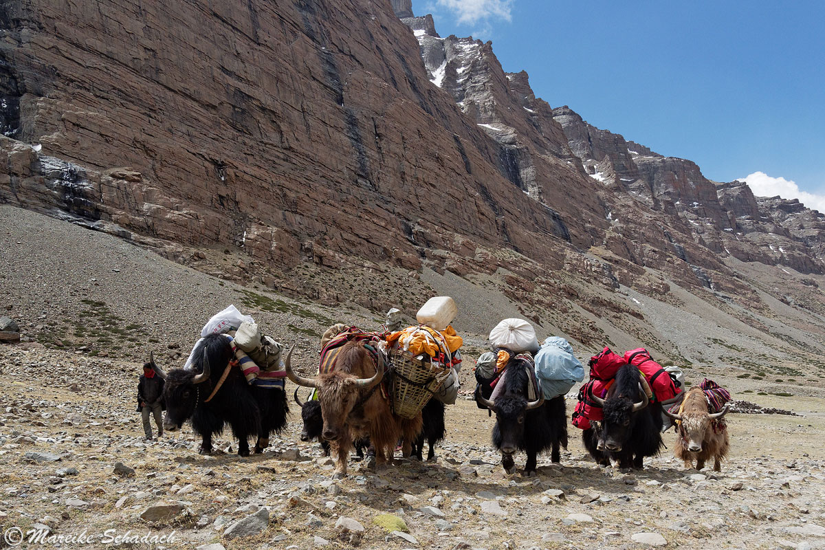 Tibet Kora Mt. Kailash